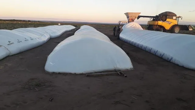 Fazenda de 16 mil hectares no Maranhão