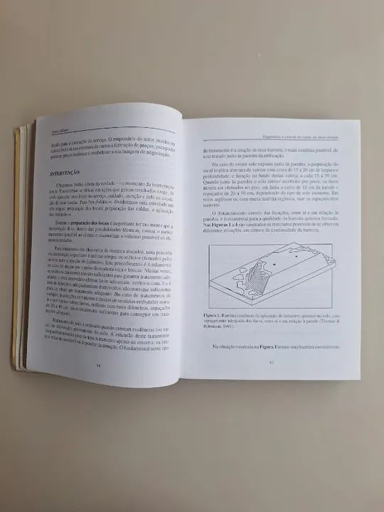 Cupins - O Desafio do Conhecimento - Foto 2