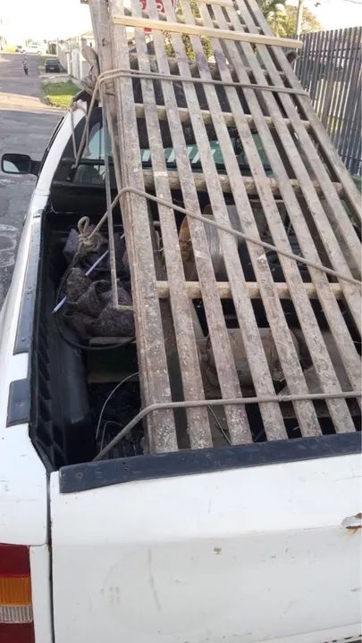 Lixadeira 7.2 - Foto 4