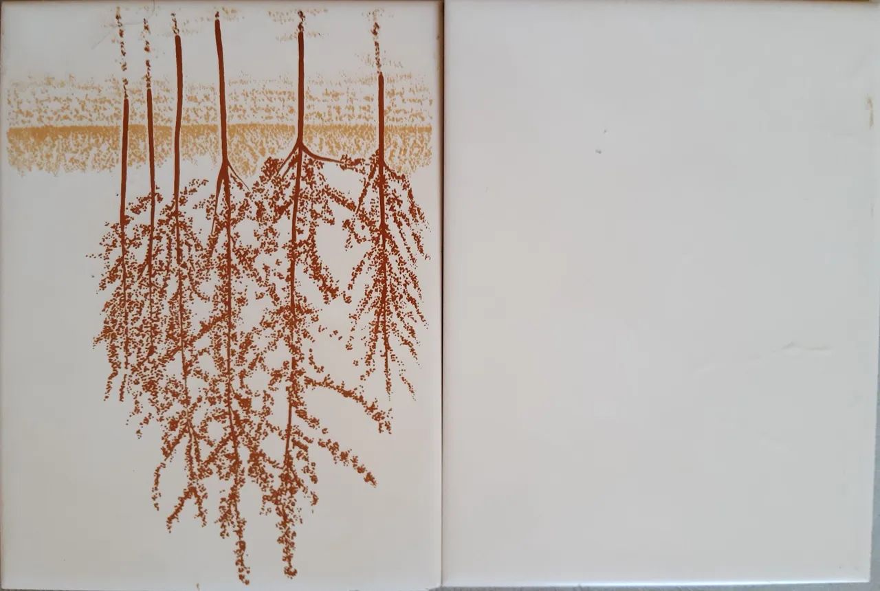 AZULEJOS NOVOS  INCEPA EXTRA. - Foto 3