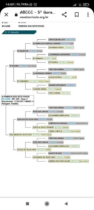 Egua tordilha pra venda  - Foto 4