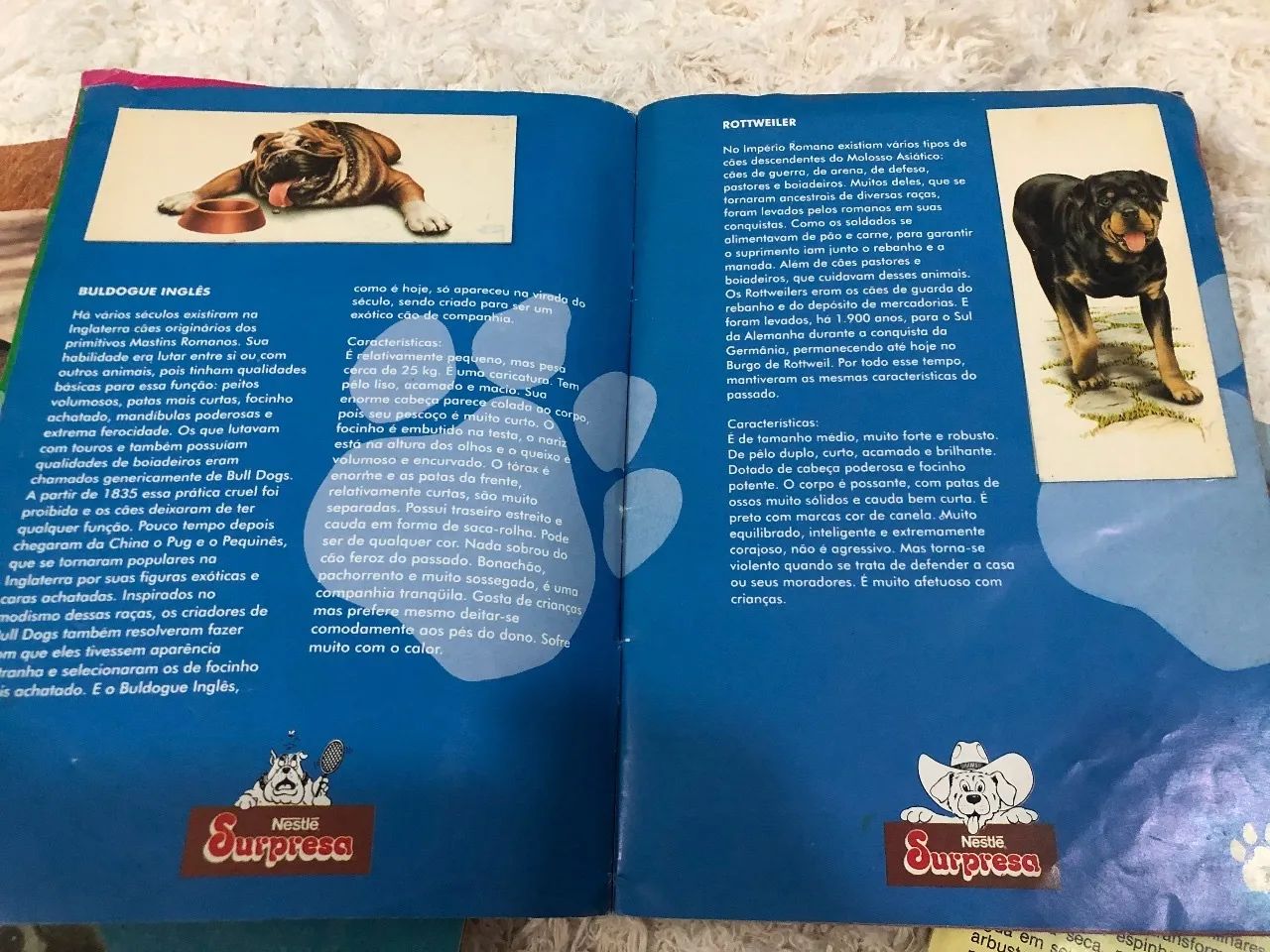 Coleção álbum surpresa Nestlé - Foto 3