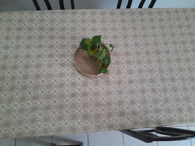 Colcha de Cama casal em Frivolité renda Suíça  - Foto 6