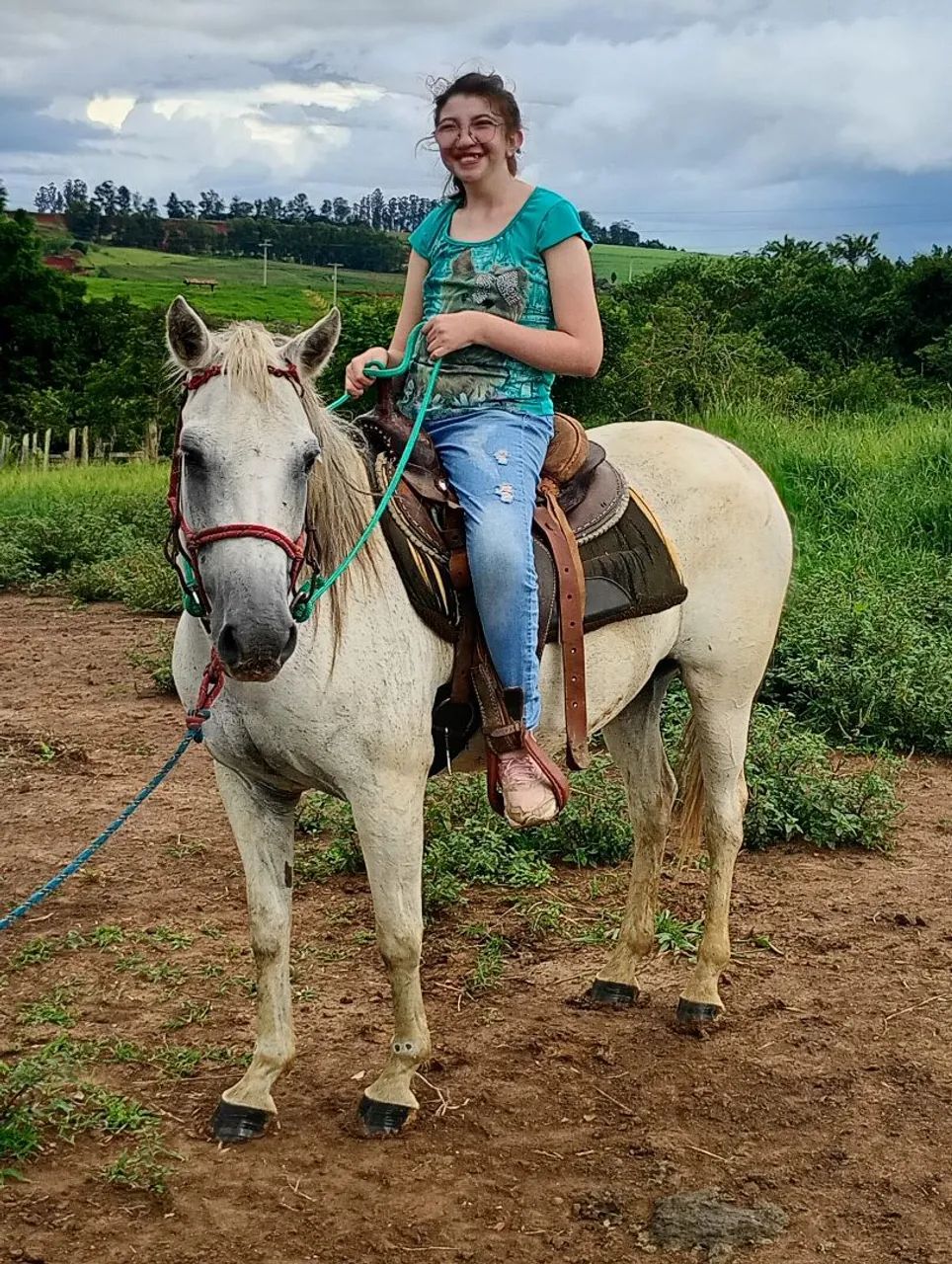 Égua quarto de milha  - Foto 2