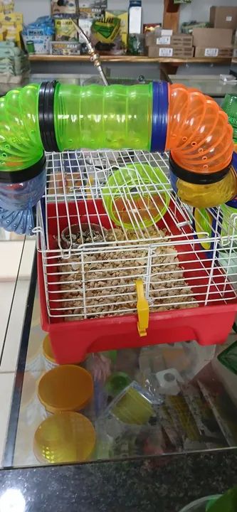 Hamster cm gaiola - Foto 3