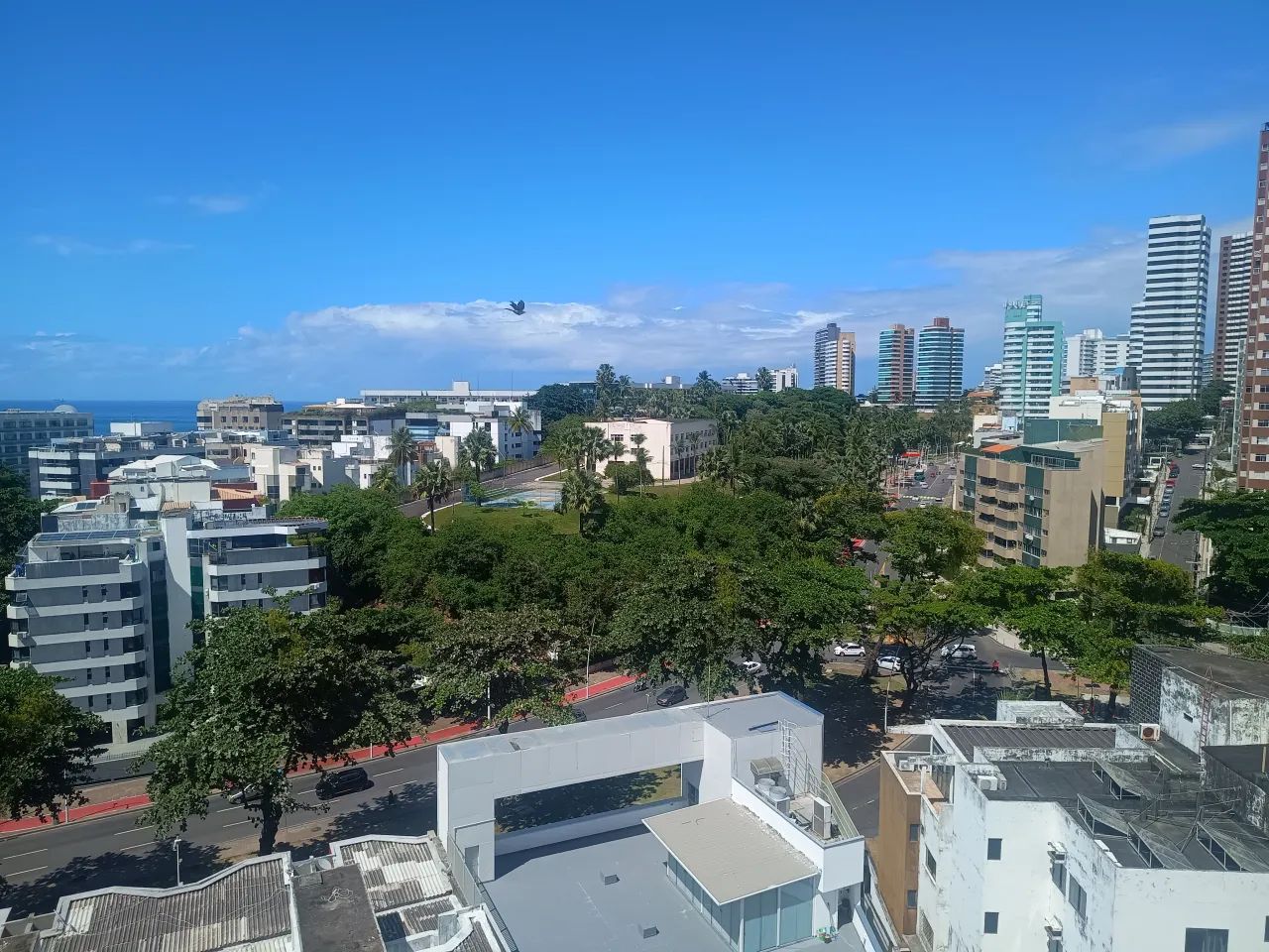 ALUGO 2/4 CARNAVAL - Foto 15