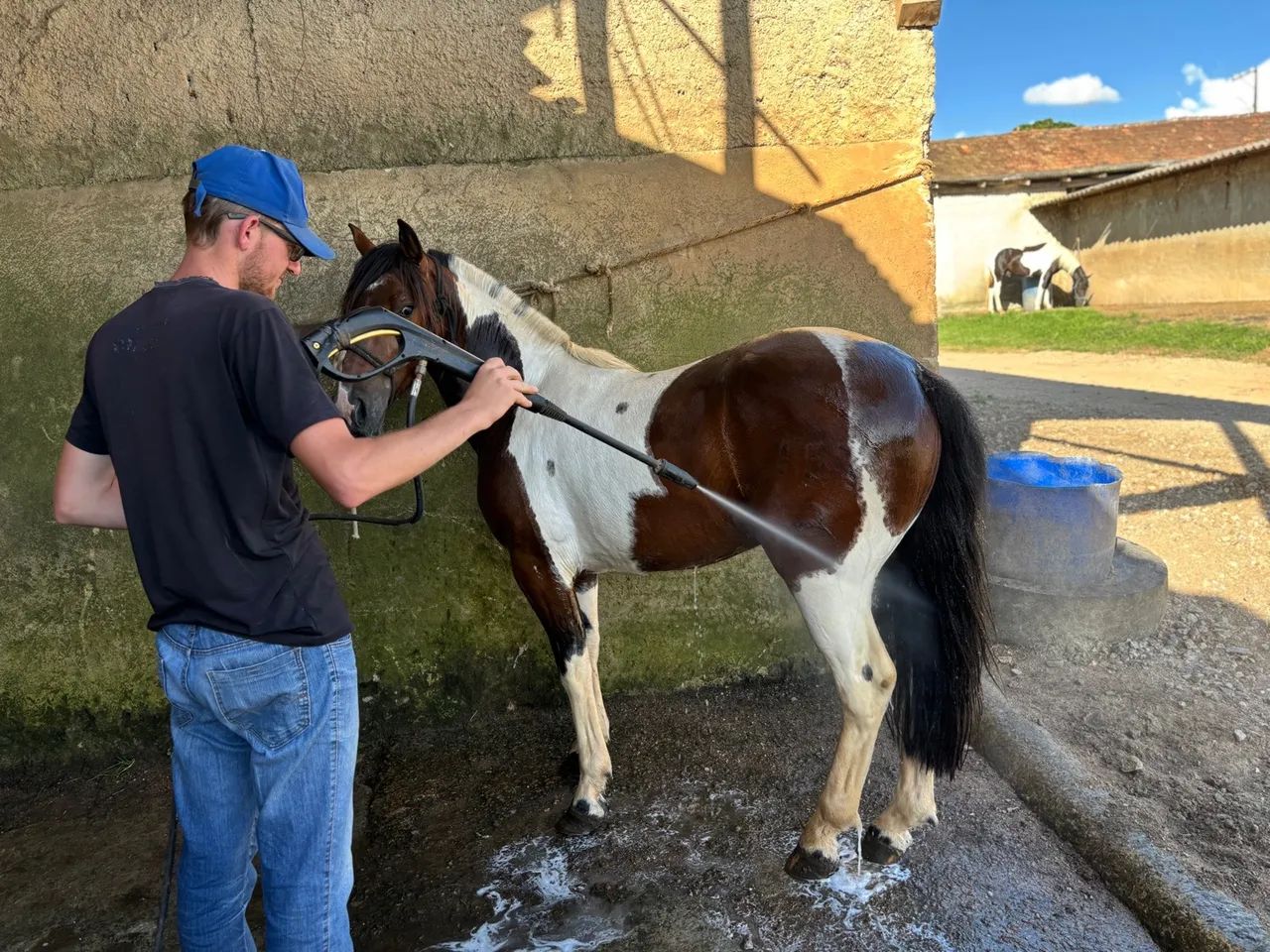 Tubiano lindo forte chama atenção por onde passa  - Foto 4