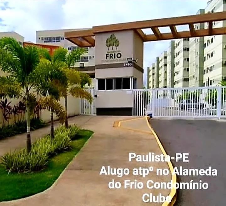 Foto - Paulista - Pau Amarelo