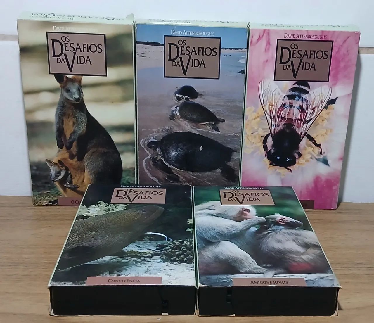 (未使用･未開封品)Living Edens: Patagonia [VHS] Coleção vhs Os Desafios da Vida - David Attenborough - Hobbies e