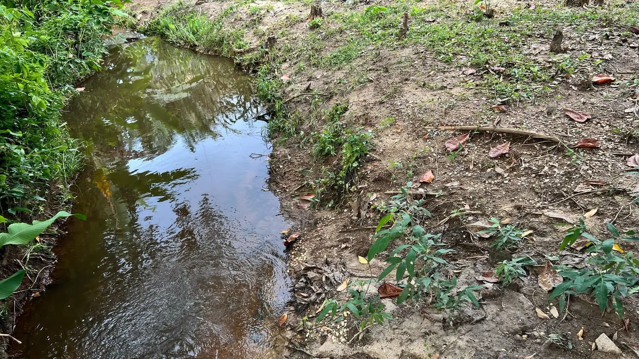 Terreno em Nova cruz igarassul próximo a praia de mangue seco