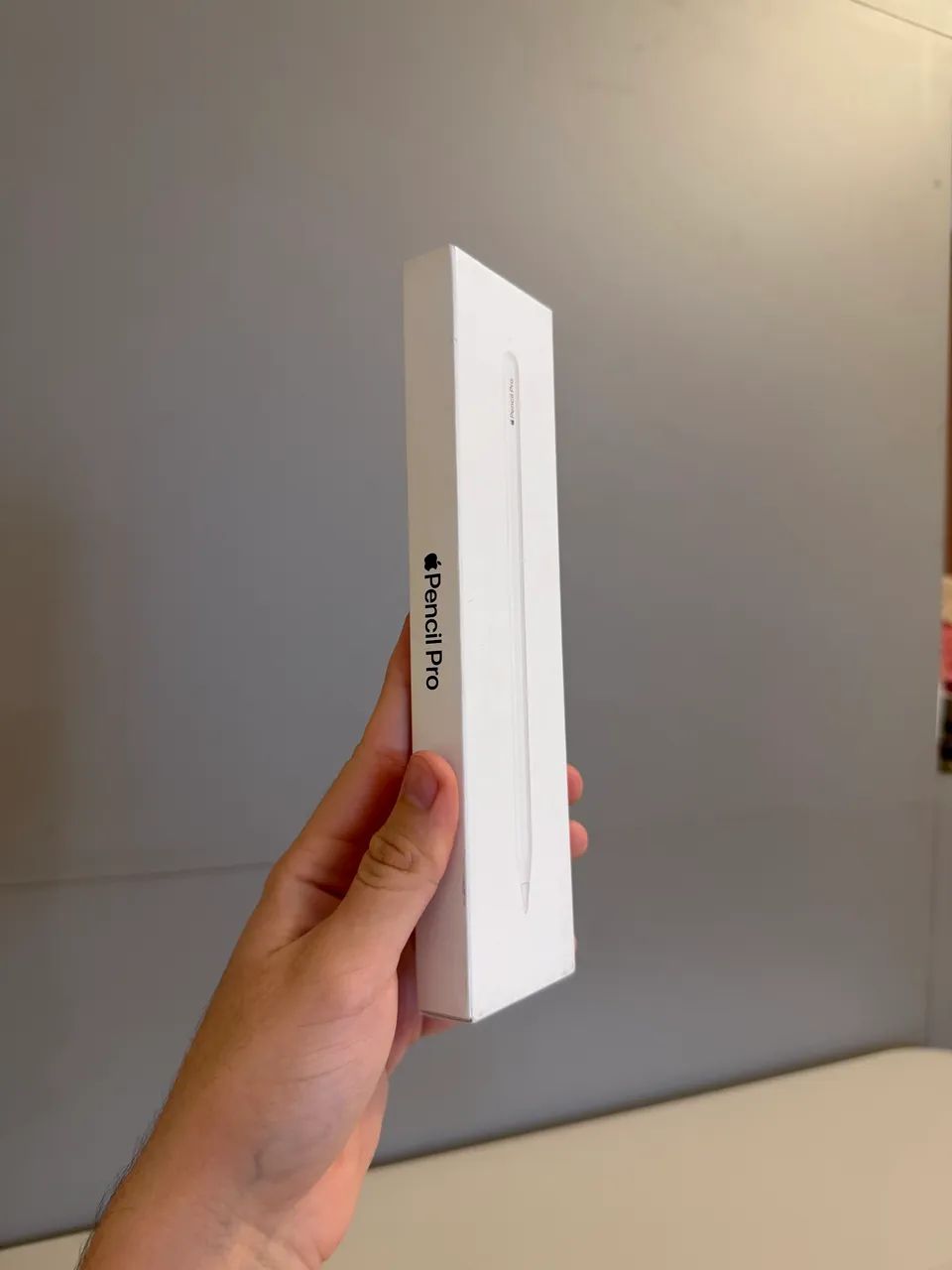 Apple Pencil Pro e USB C lacrado, A partir de 750 - Foto 5