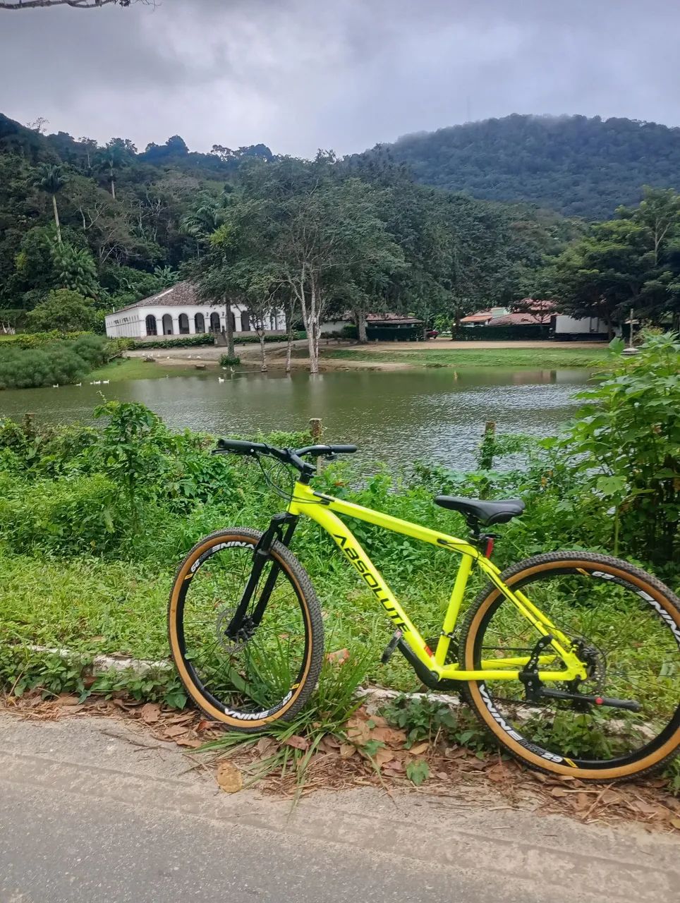 Bicicleta absolute