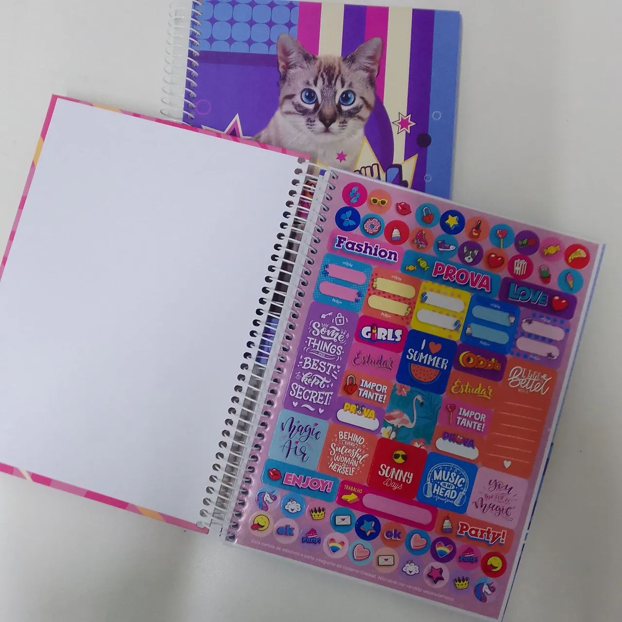 Kit 5 Caderno de 10 matérias  - Foto 5