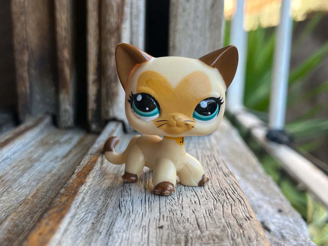 Lps - Shorthair #3573