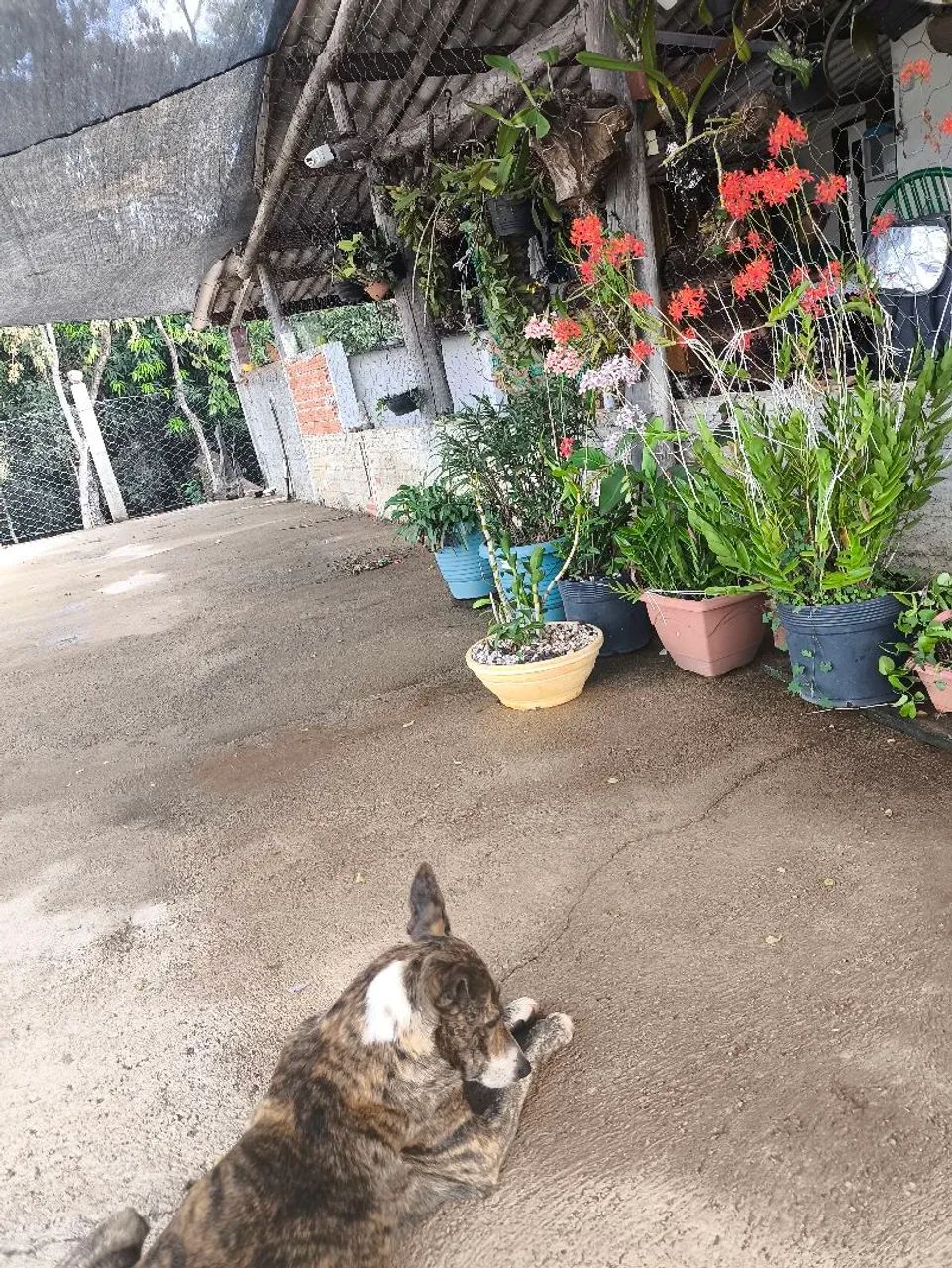 Chácara região de Pirenópolis 