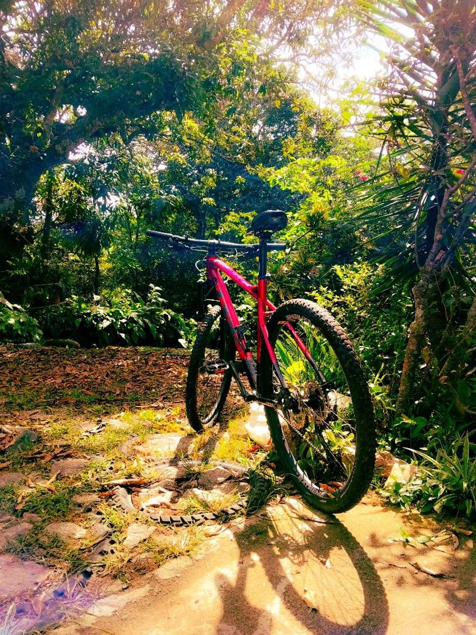 Bicicleta mountain bike MTB TSW