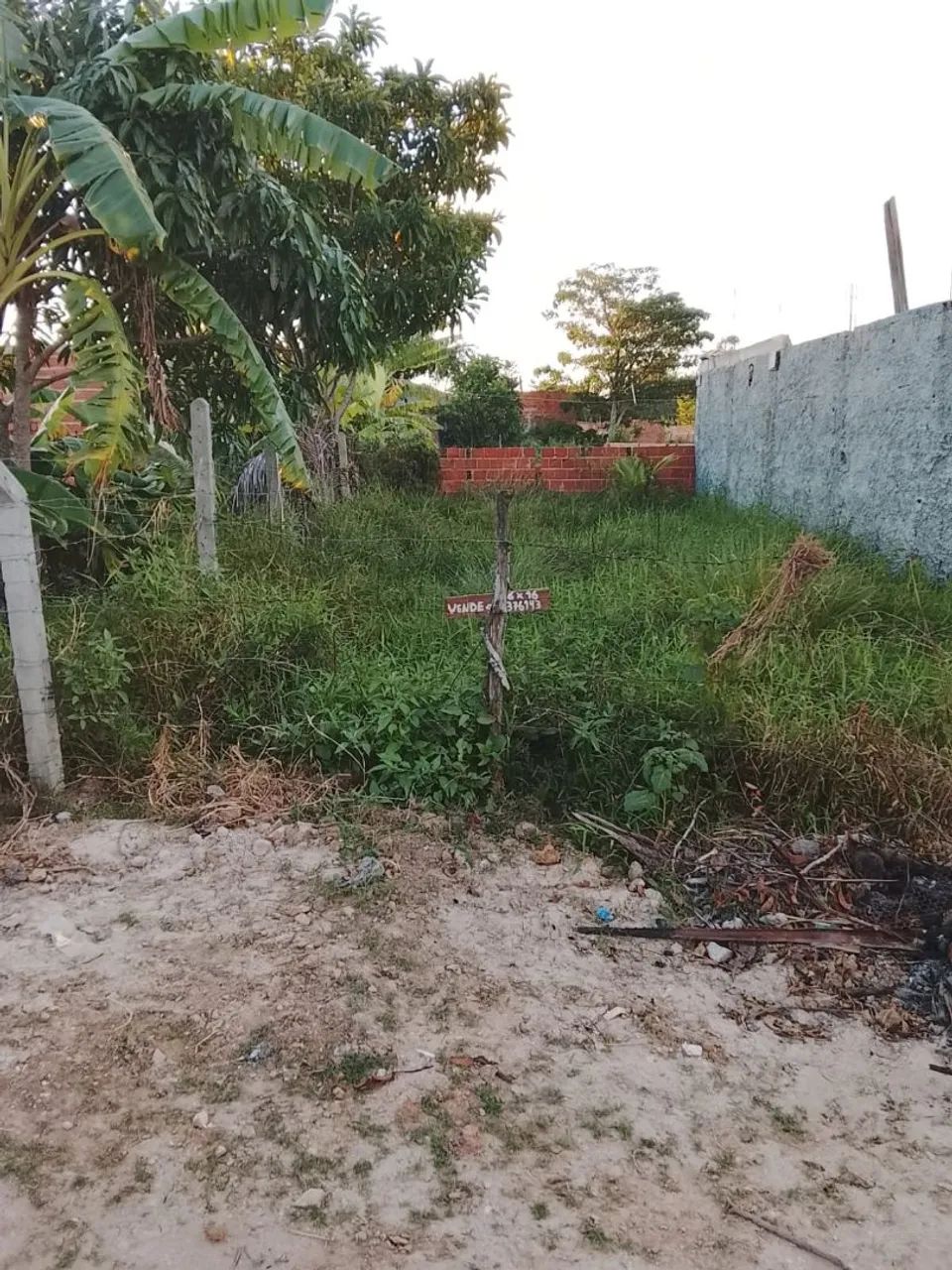 Terreno 6x16, Jardim das Palmeiras. - Foto 5