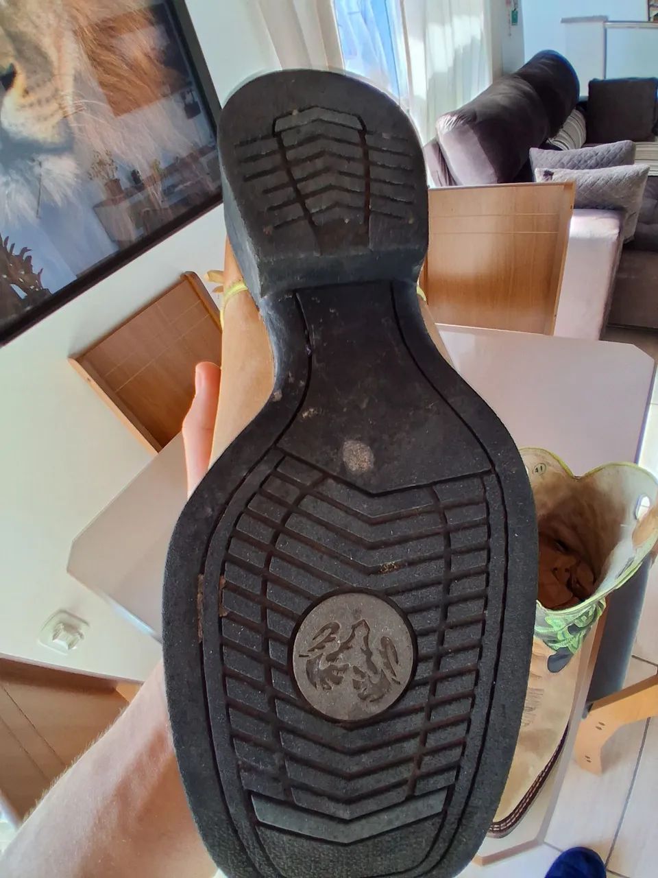 Bota DGO - Foto 4