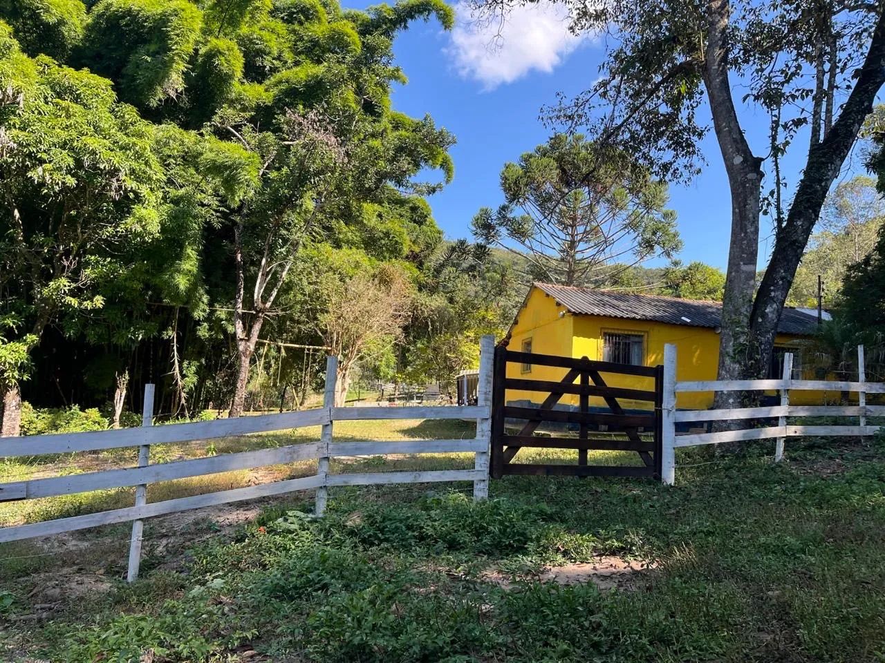 Sítio à venda 