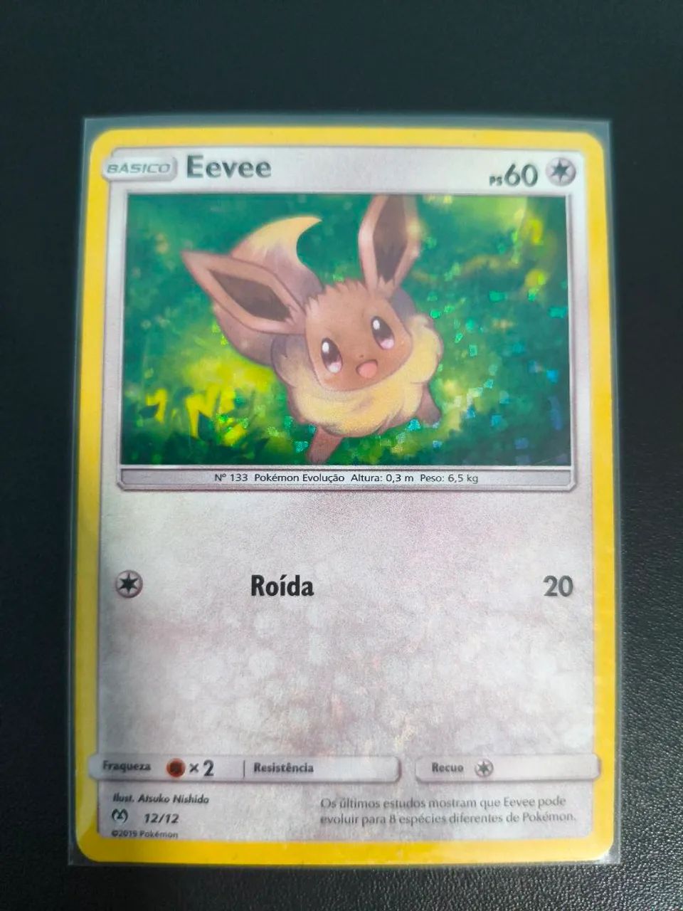 Carta TCG Eevee 2019 12/12 