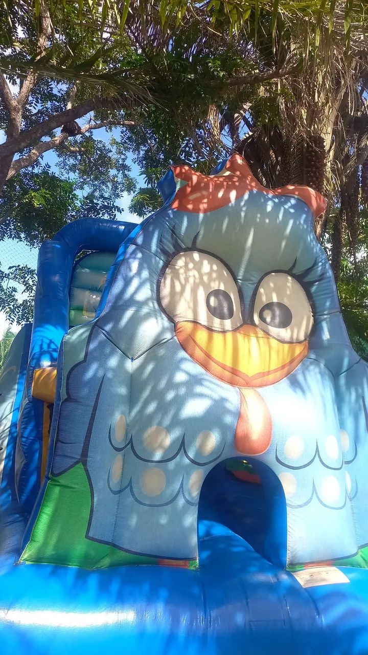 Aluguel de pula pula, casinha de bolinha e tobogâ  - Foto 3