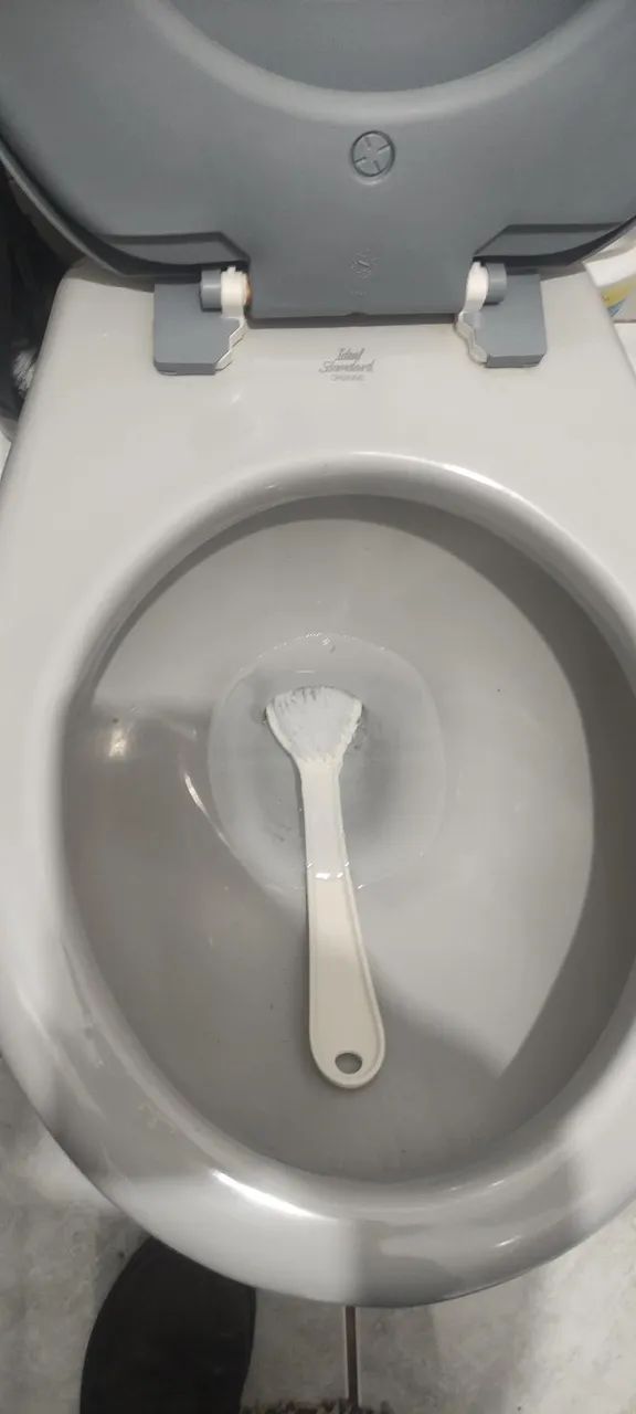Desentupimento de Vaso Sanitário em Campinas | Atendimento Rápido - Foto 5