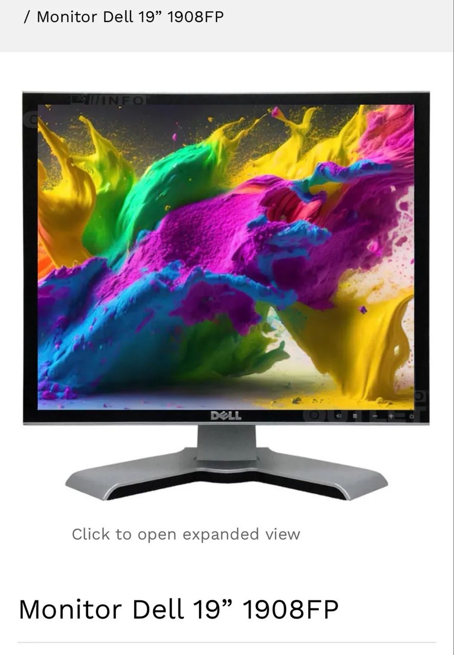 Monitor Dell19