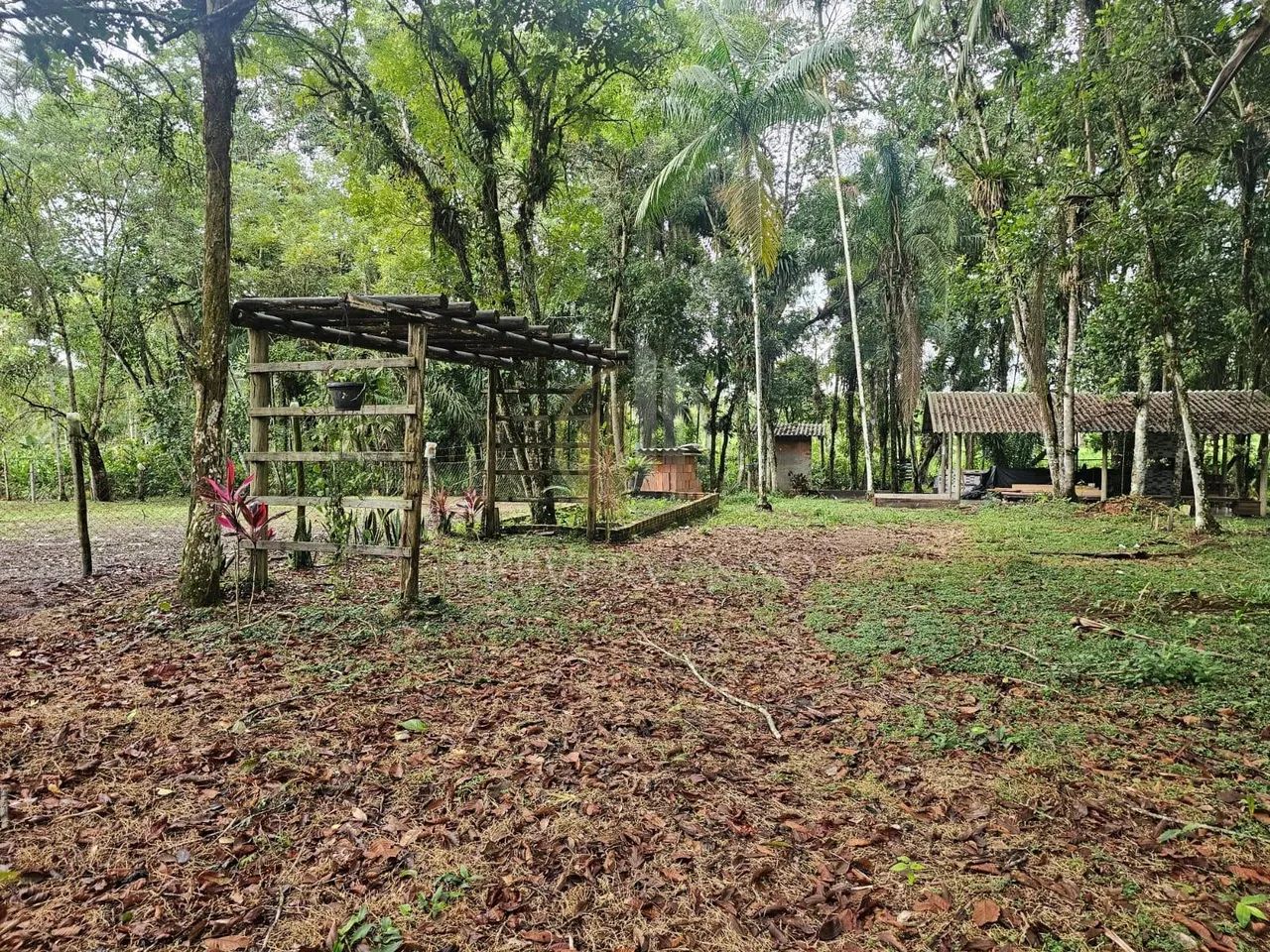 Chácara - Guaratuba, PR - Foto 5