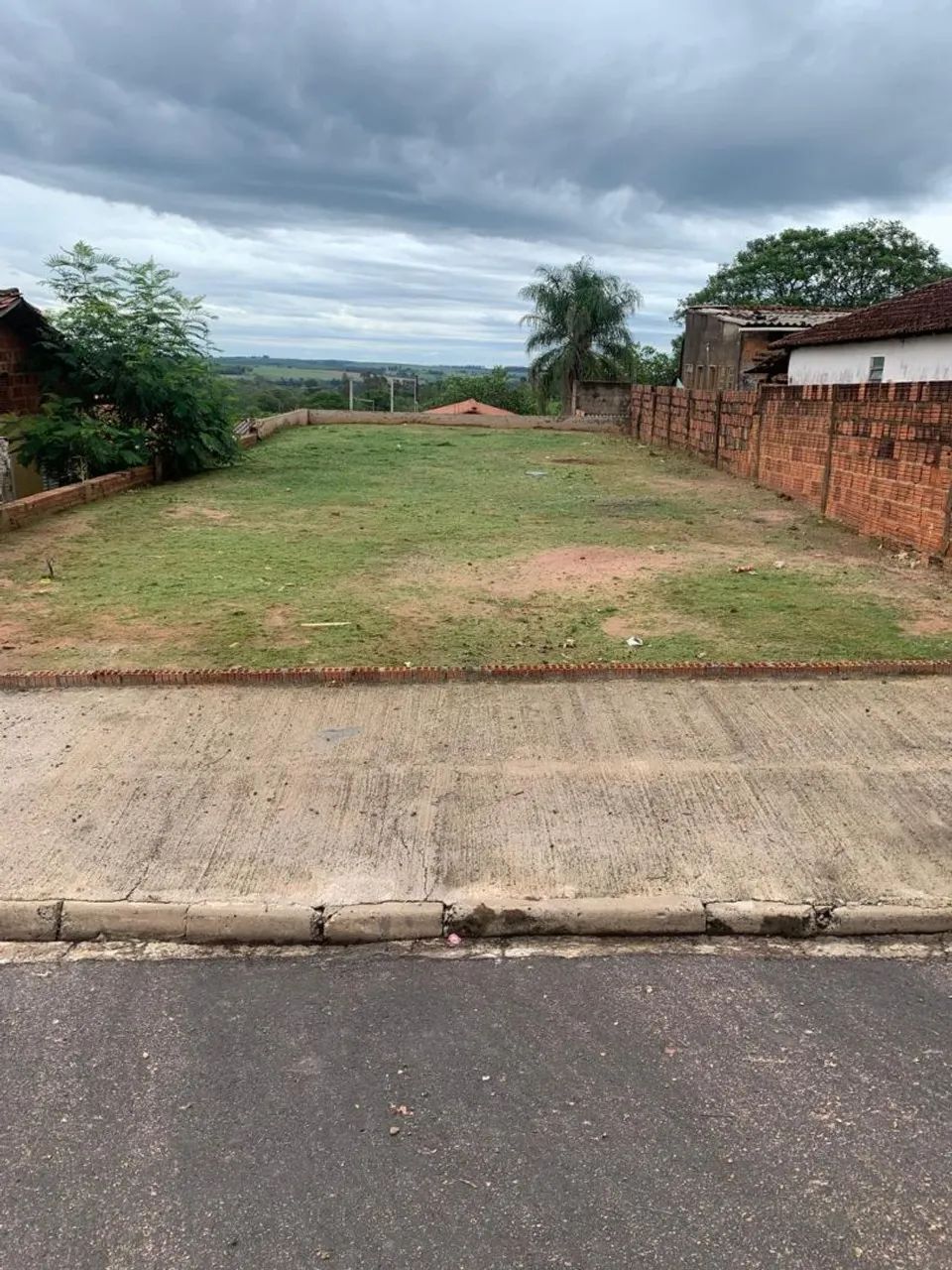 Foto - Garça - 
