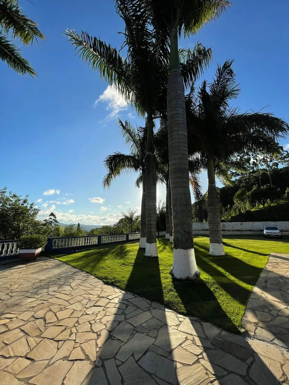 Sítio à venda com 5000m² e 6 quartos - Foto 2