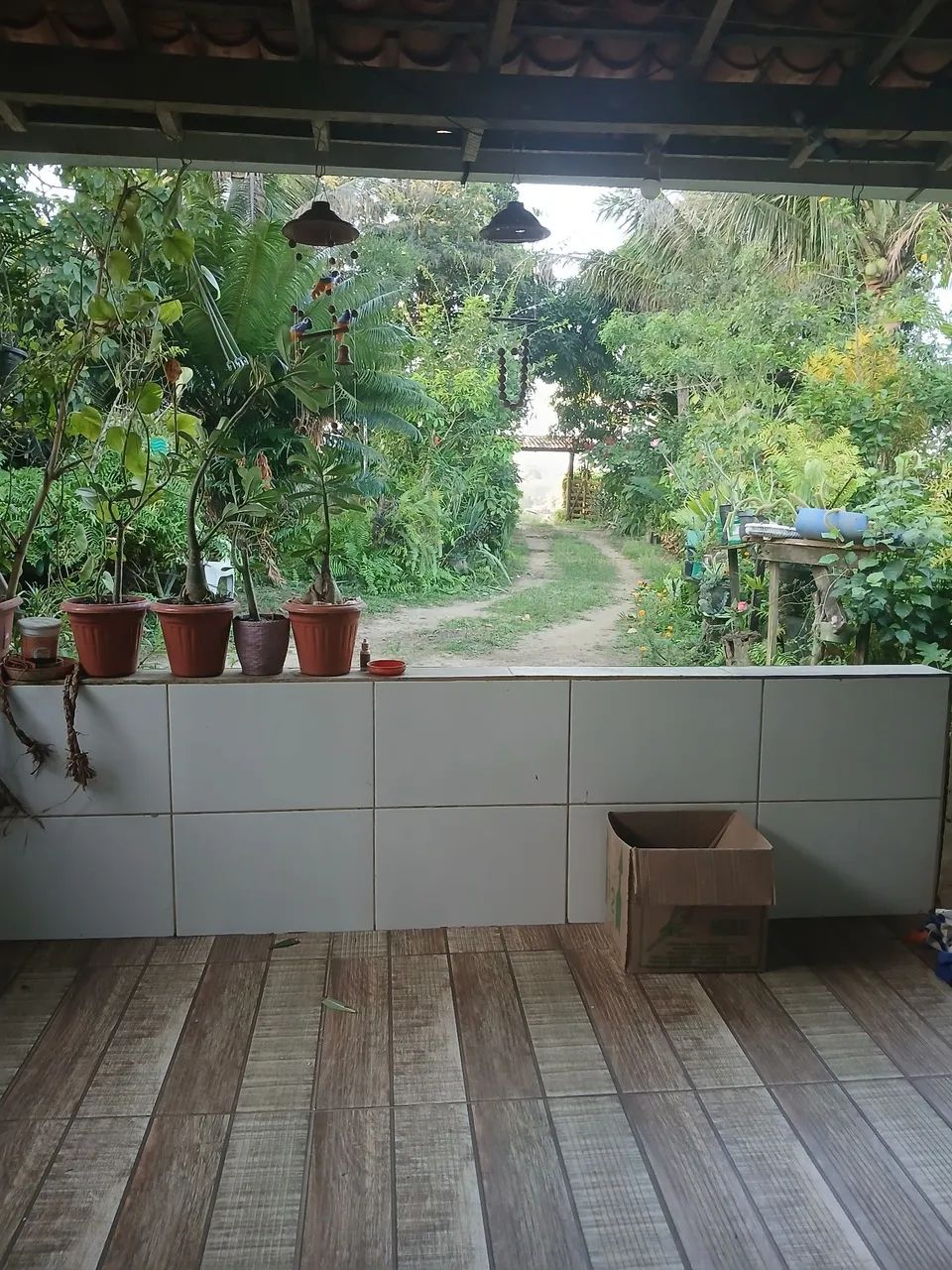 Excelente Sítio - Foto 2