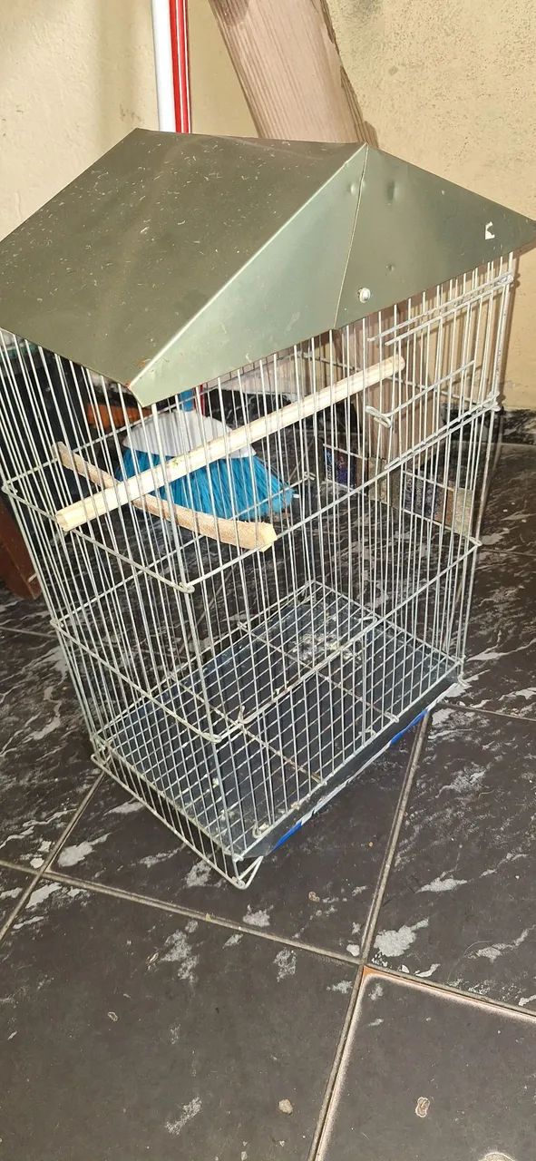 Gaiola de metal - Foto 2