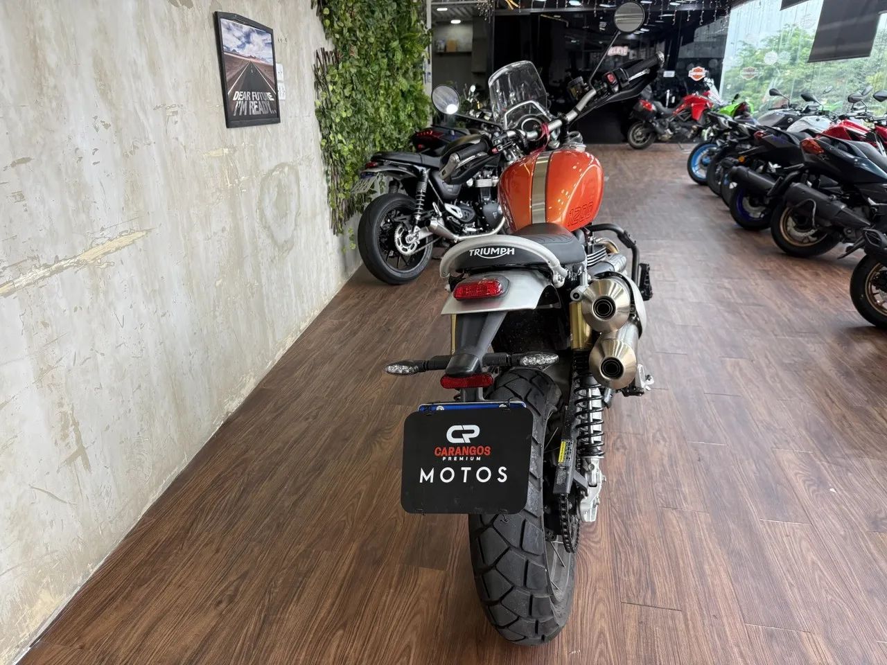 Triumph Scrambler 1200 xe 2024 - Foto 5