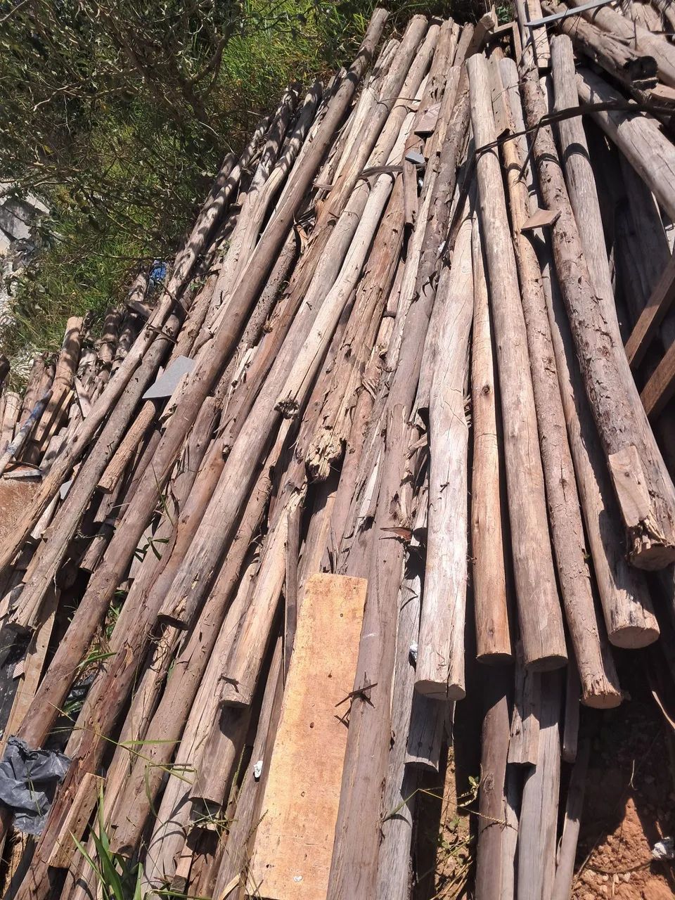 Escora de eucalipto 