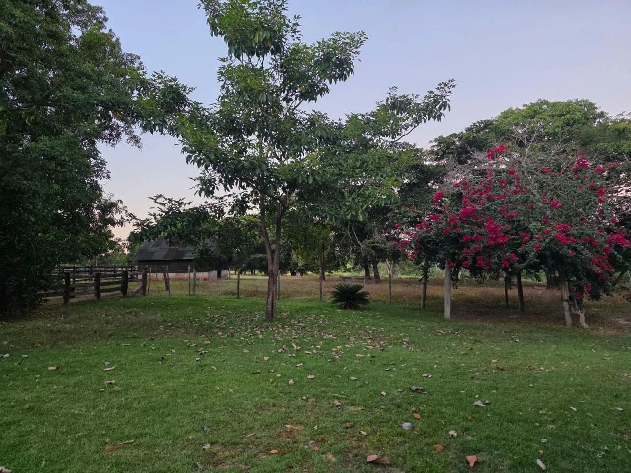Fazenda à Venda - Rio Sono | Tocantins - Foto 2