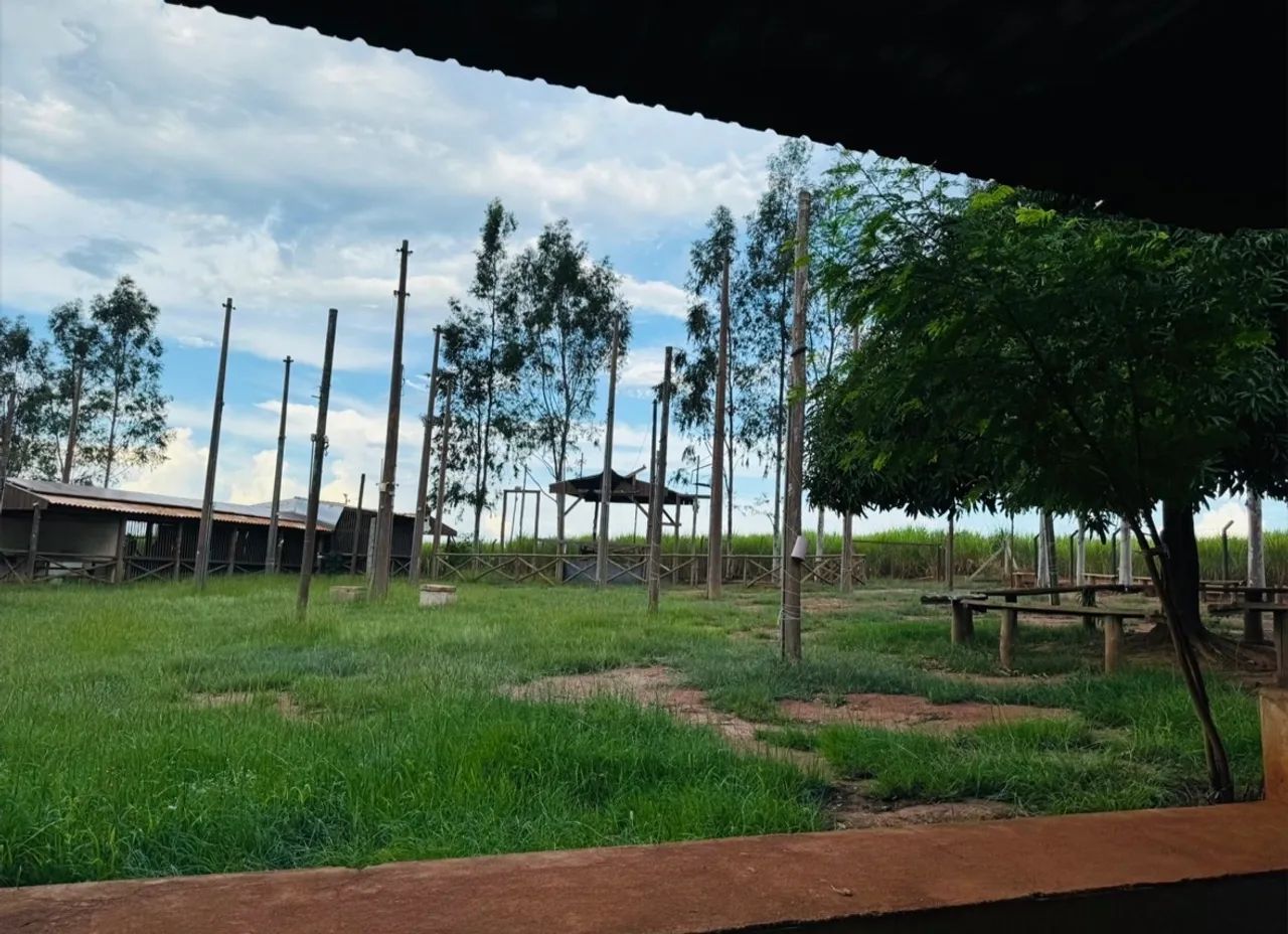 Chácara em Araçatuba - Foto 3