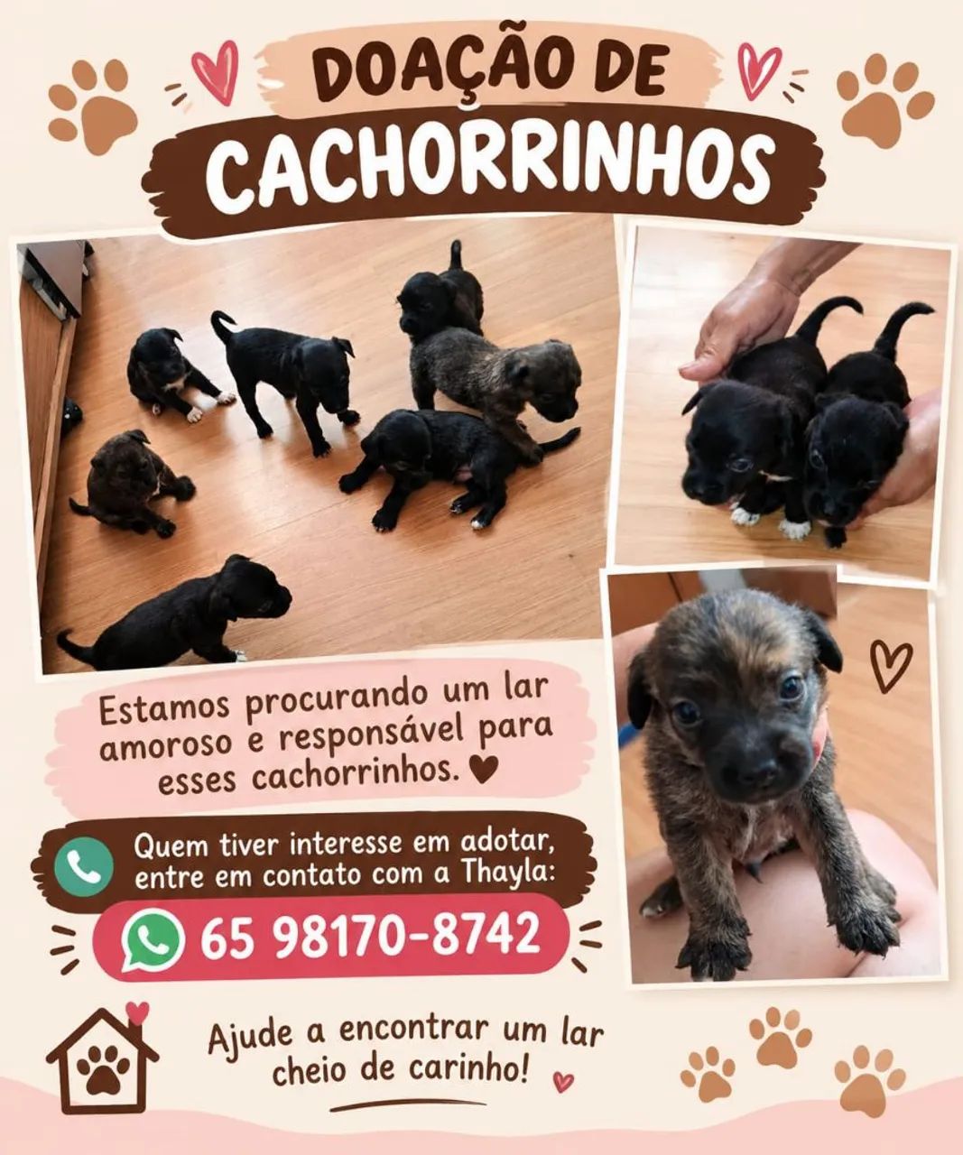 Doação responsavel - Foto 2
