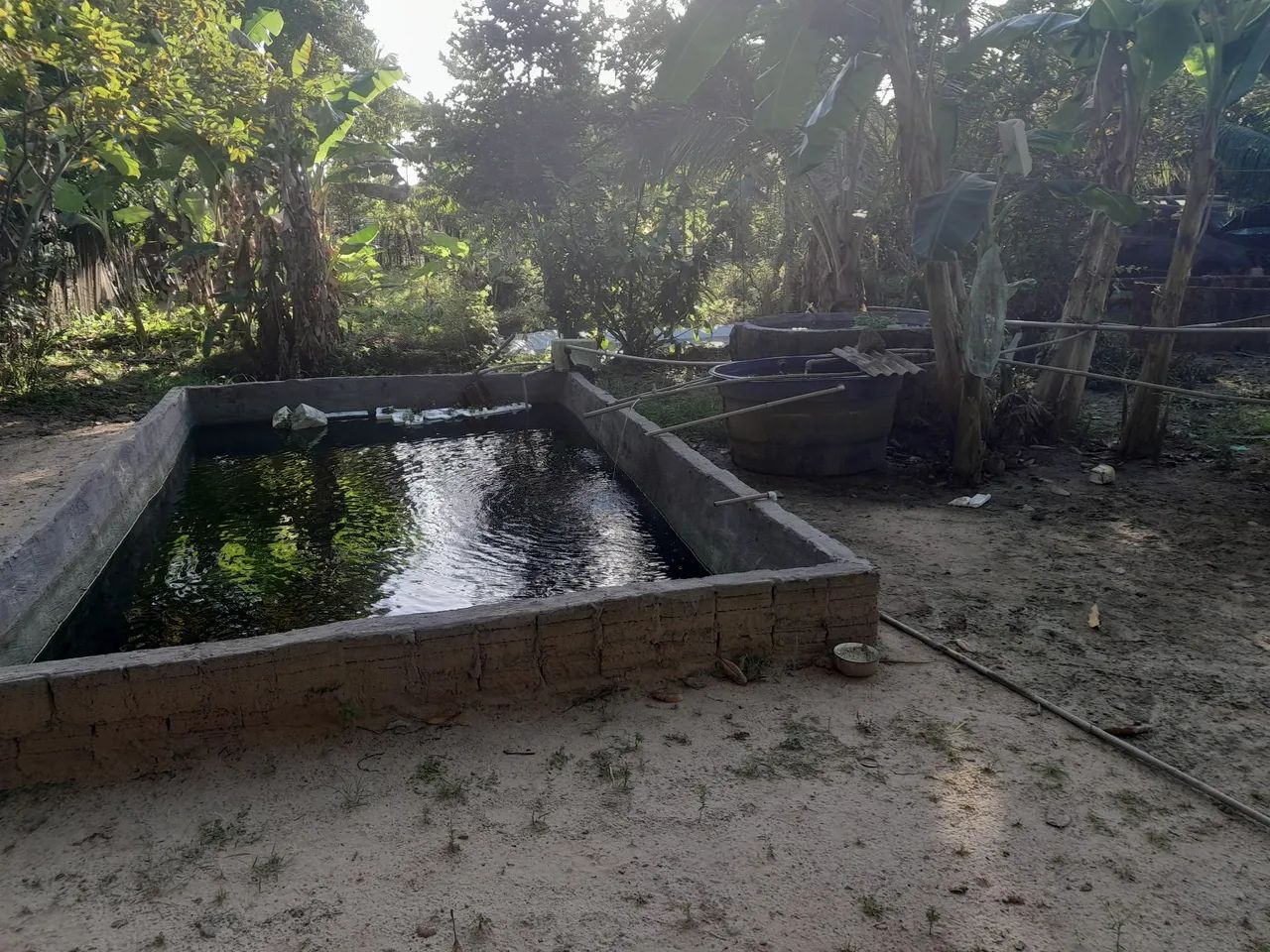 Paricatiua, Paraíso Zap. *17  - Foto 2