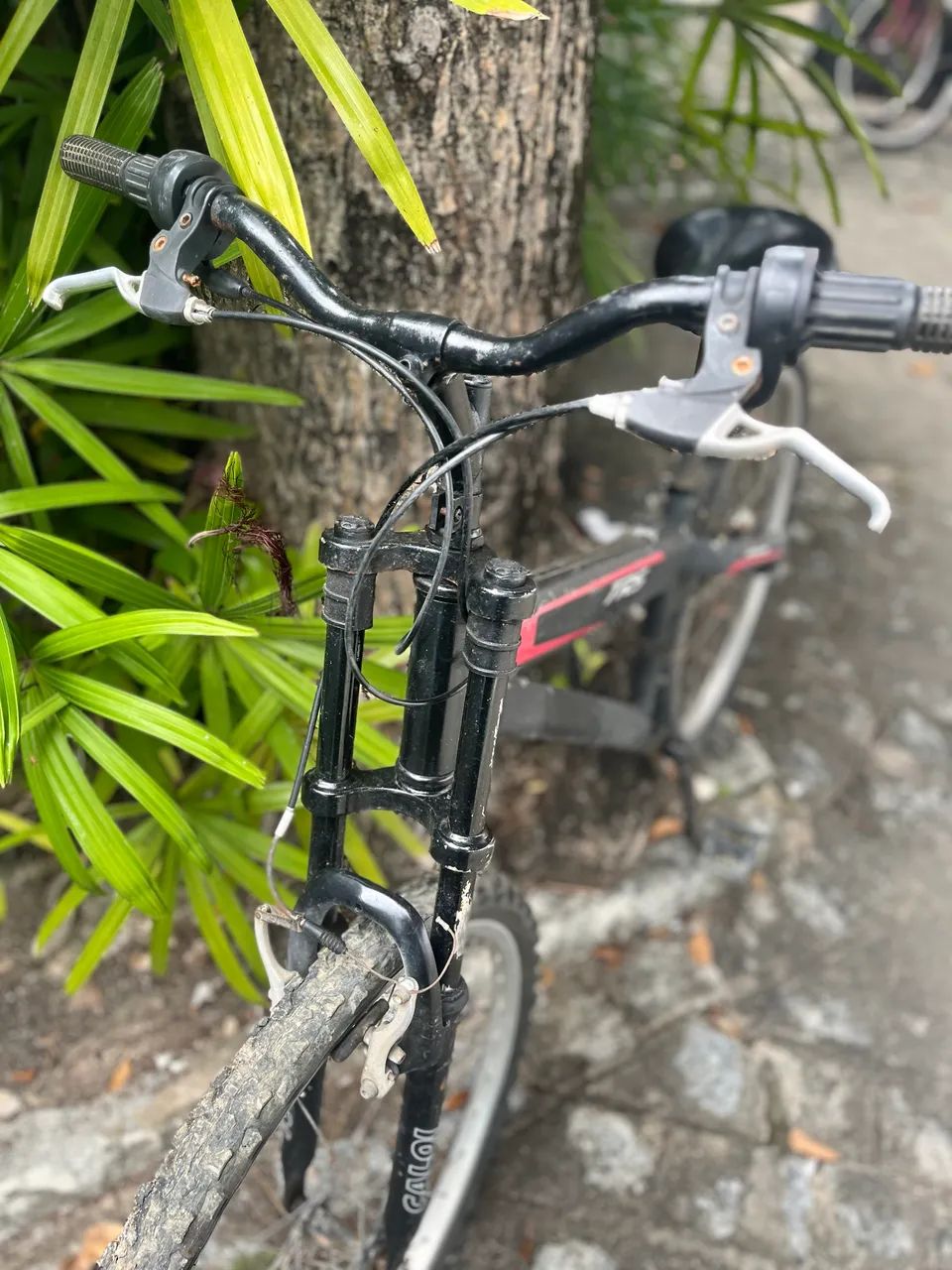 Bicicleta - Foto 2
