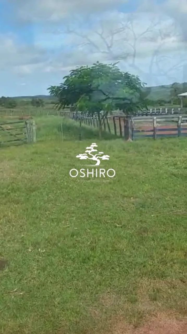 FAZ. DUPLA APTIDÃO EM TORIXORÉU -MT - NIL. CÓD. 15371 - Foto 3