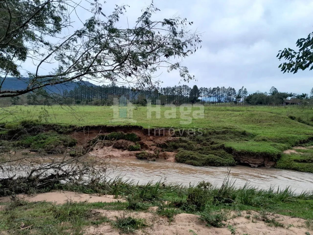 Sítio à venda em Turvo/SC - Foto 3