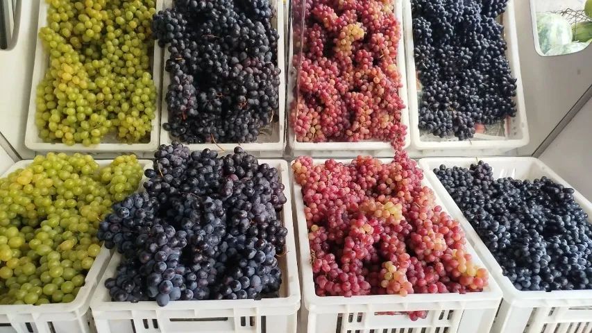 Passo ponto comercial ( Hortifruti)  - Foto 3