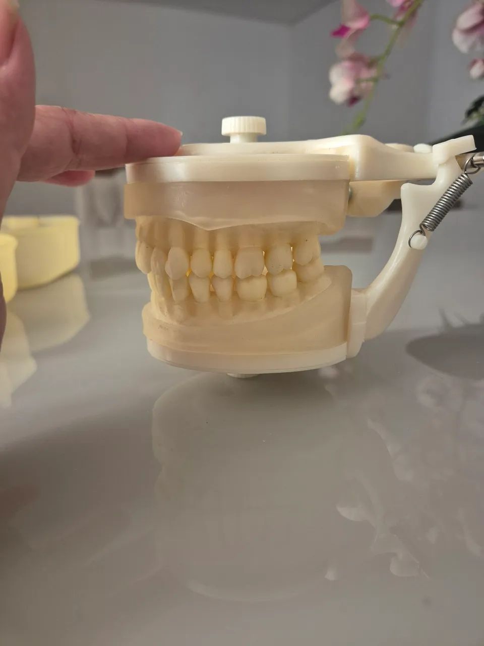 Manequim de Periodontia  - Foto 3