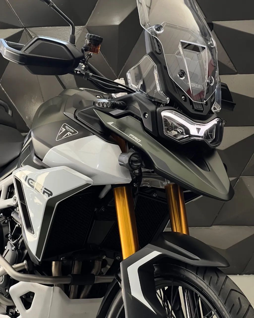 TIGER 900 RALLY PRO - Foto 2