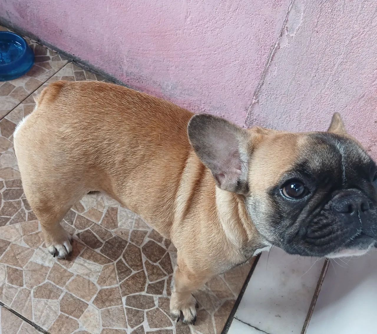 Vende-se  - Foto 3
