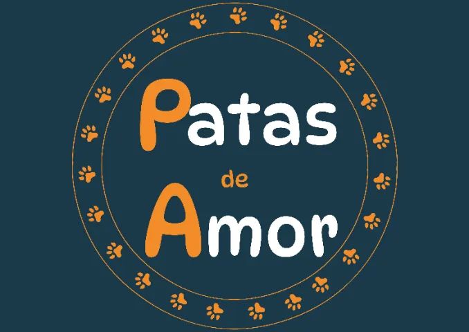 Passeador de cães - Foto 2