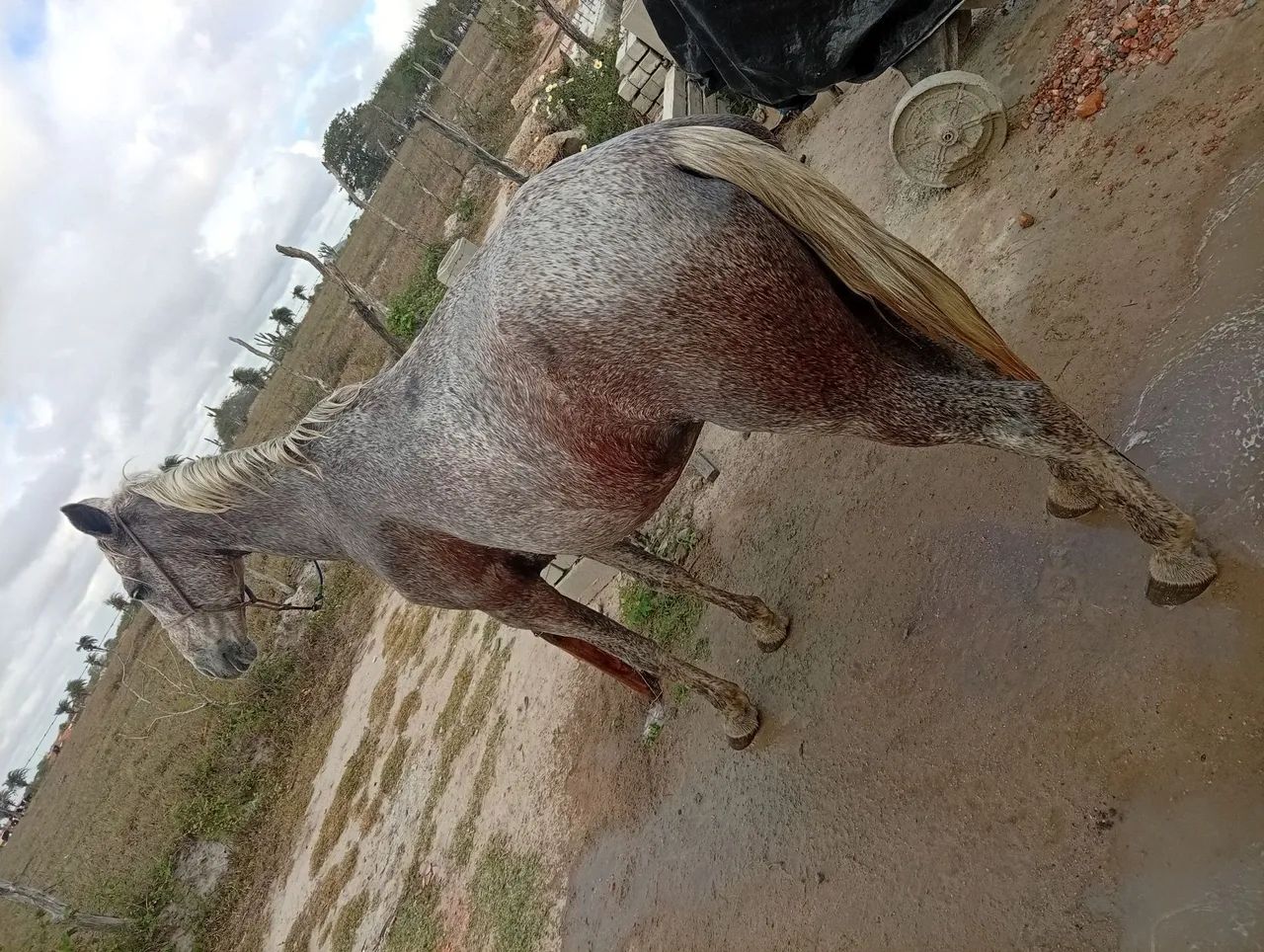Égua pra jogo