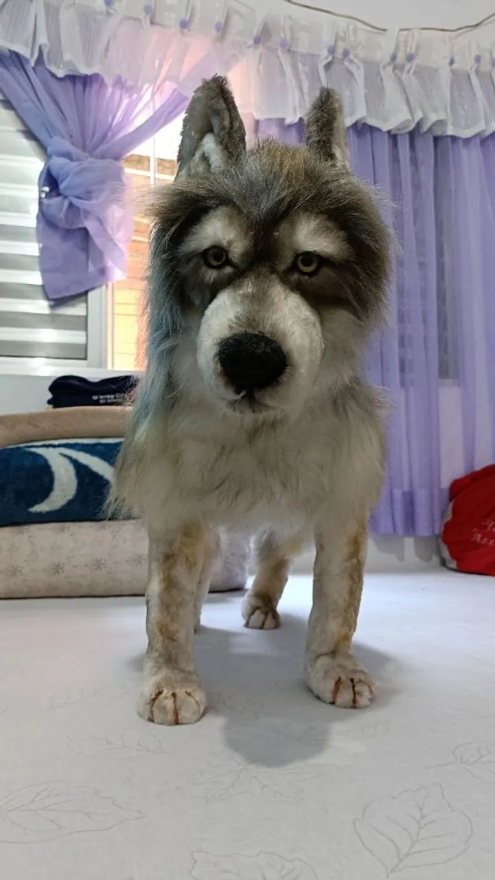Cachorro 3D feito a mão