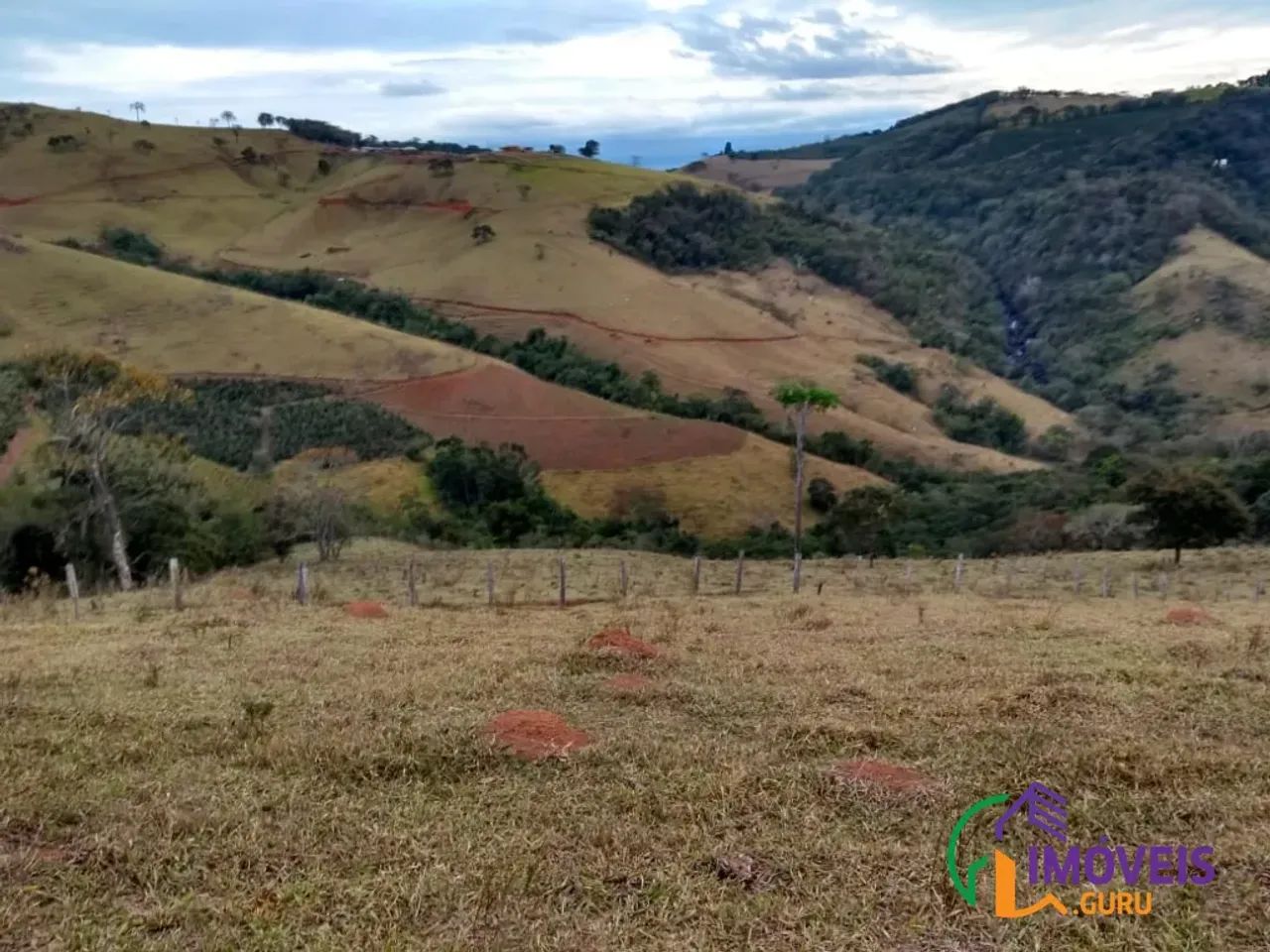 SÍTIO - CENTRO - MG - Foto 4
