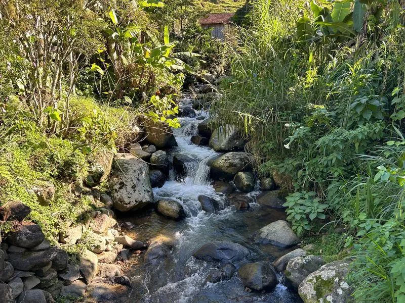 Lote rural TIMBÓ - SC